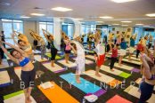 BayYoga, top Yoga Studios from Dubai, Beauty Finder - 0