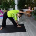 Hatha Vidya Yoga Centre – Bur Dubai, top Yoga Studios from Dubai, Beauty Finder - 0