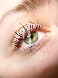 Blink Lash, top Eyelashes Salon from Abu Dhabi, Beauty Finder - 3