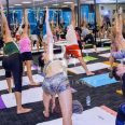 BayYoga, top Yoga Studios from Dubai, Beauty Finder - 4